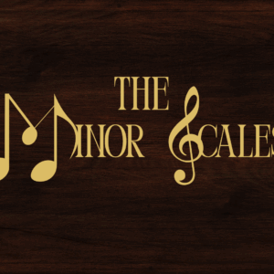 Dr Aman Bathla's Consultancy